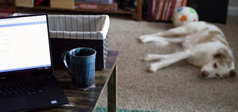 Remote work at home with laptop